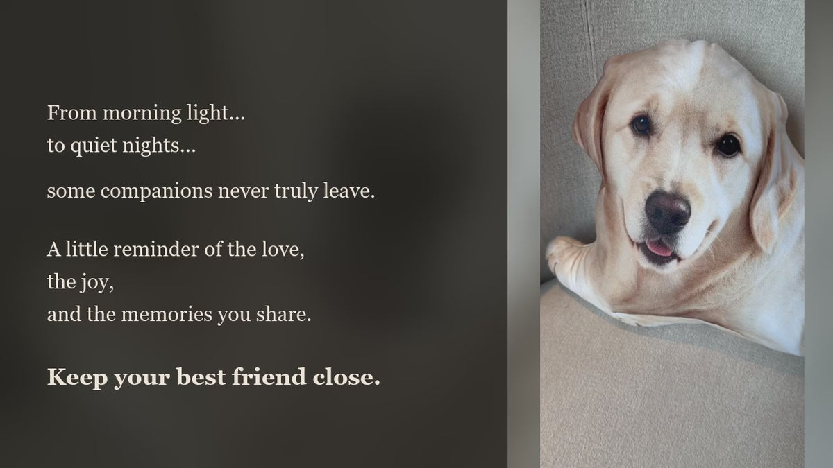 加载视频：Keep your best friend close — English female narration, day-to-night dog pillow film